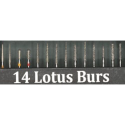 BUNDLE: 3 + 1 Free<br>LOTUS ZENOX™ Natural Diamond Crown and Bridge Prep Kit